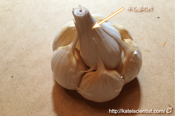 white-six-pieces-garlic_2016summer_st04